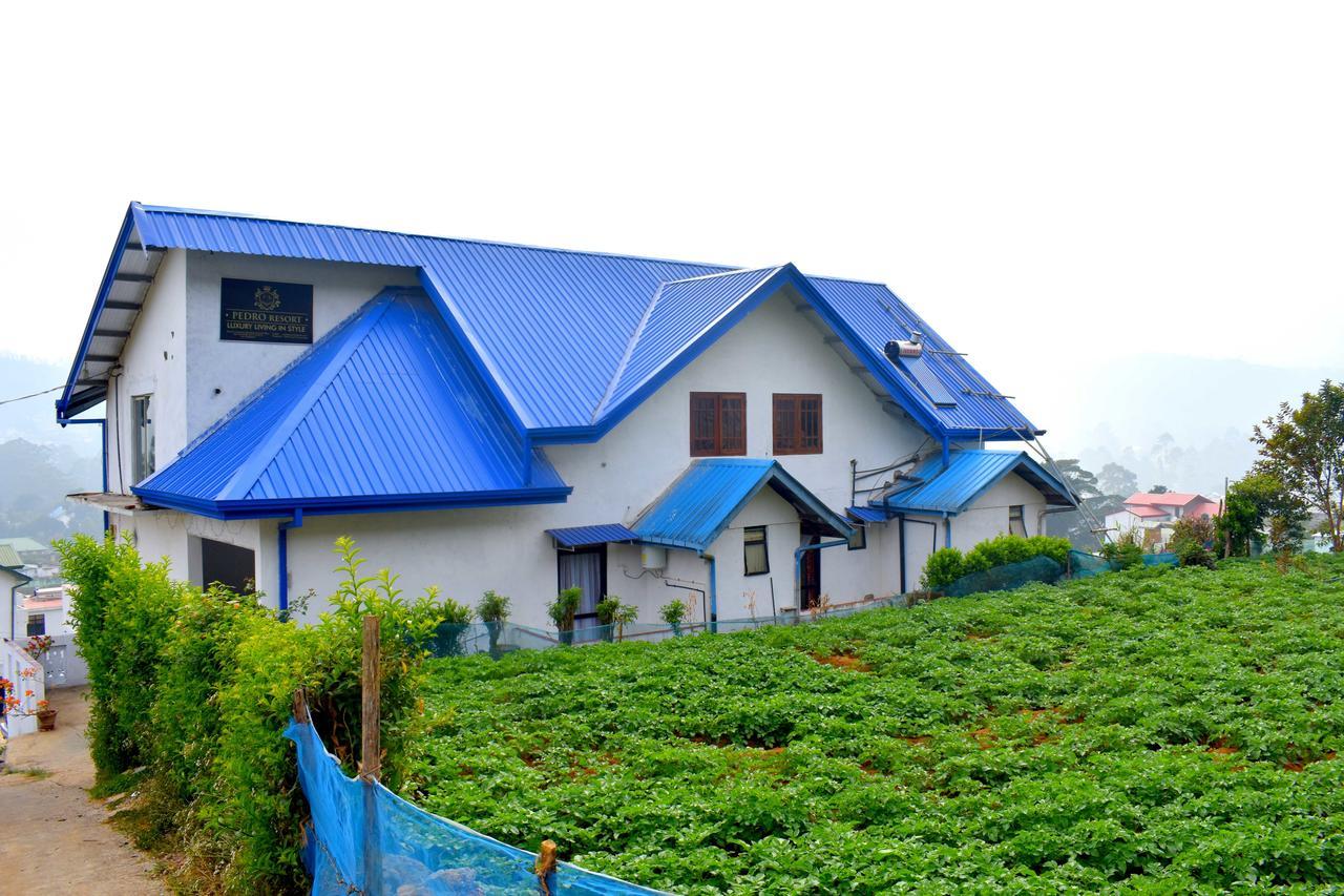 Yoho Pedro Resort Nuwara Eliya Exteriér fotografie