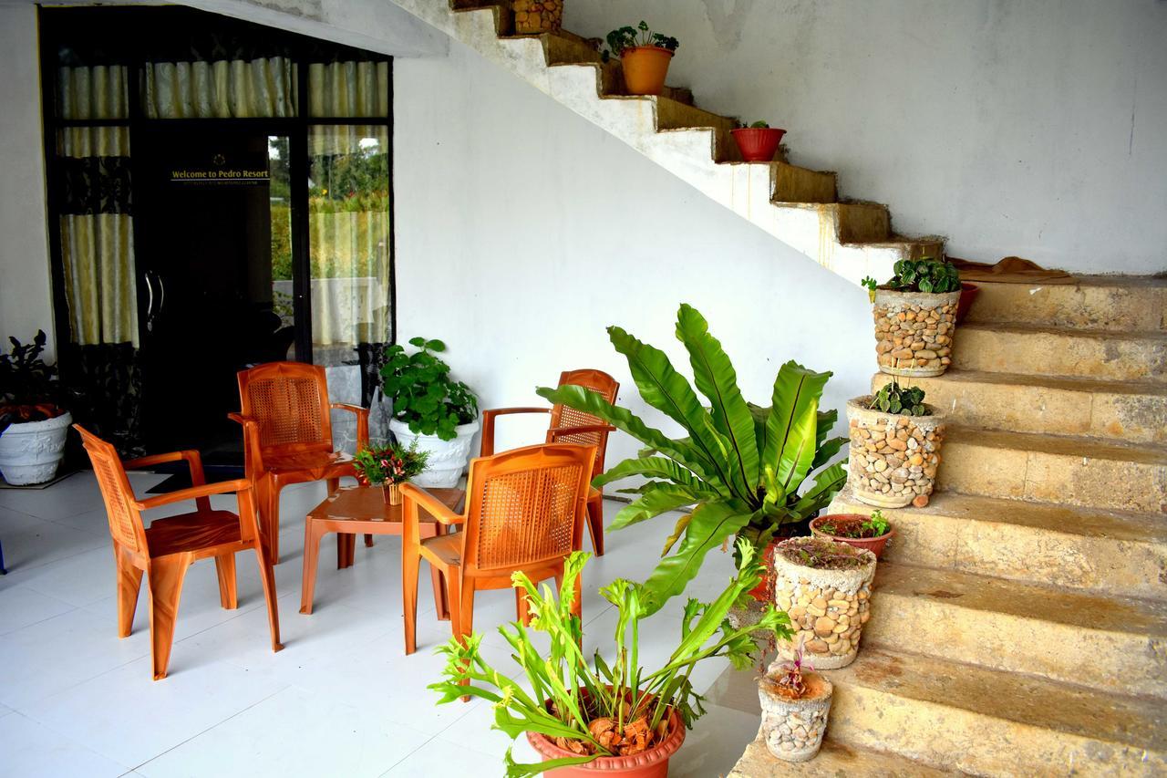 Yoho Pedro Resort Nuwara Eliya Exteriér fotografie
